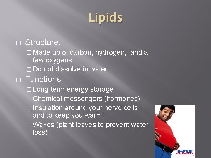 Lipids � Structure: � Made up of carbon, hydrogen, and a few oxygens �