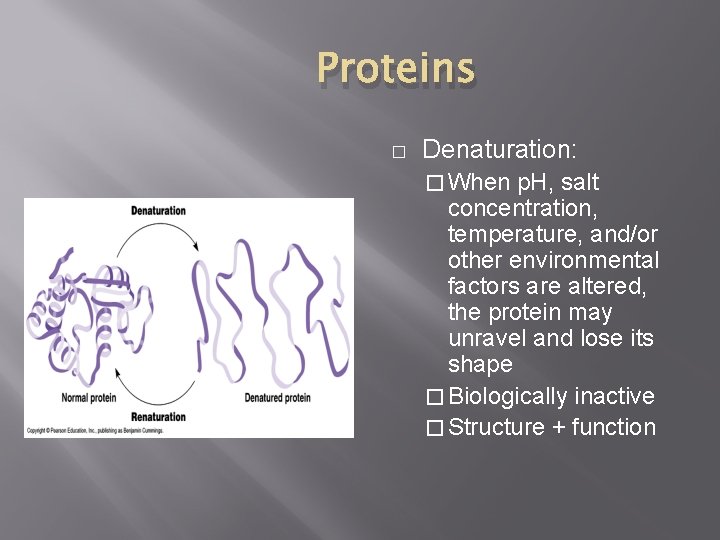 Proteins � Denaturation: � When p. H, salt concentration, temperature, and/or other environmental factors