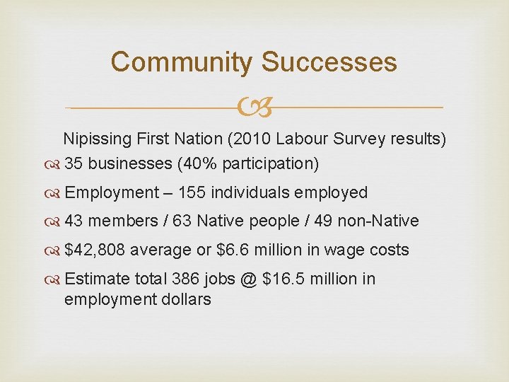Community Successes Nipissing First Nation (2010 Labour Survey results) 35 businesses (40% participation) Employment