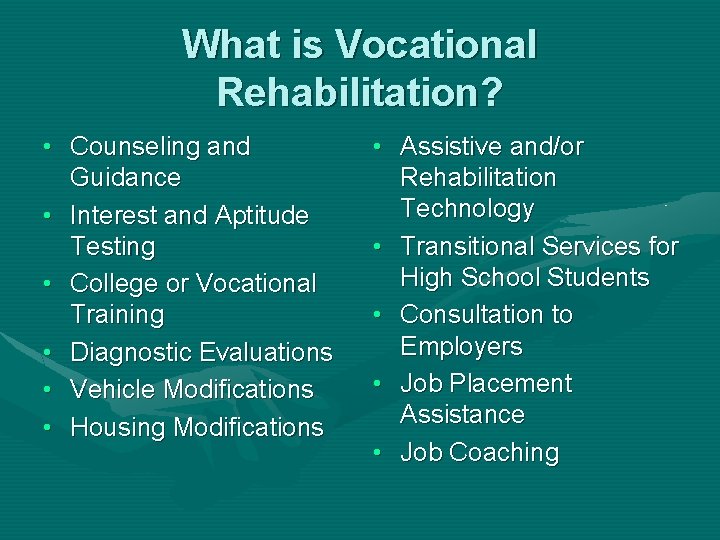 What is Vocational Rehabilitation? • Counseling and Guidance • Interest and Aptitude Testing •