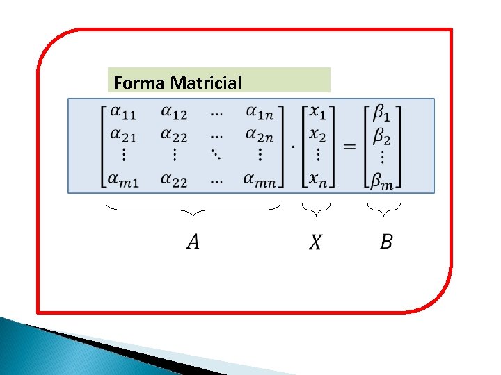 Forma Matricial 