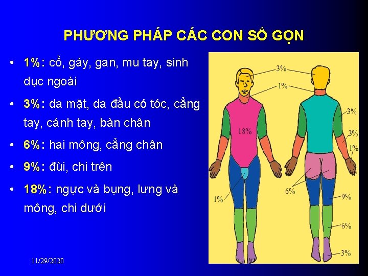 PHƯƠNG PHÁP CÁC CON SỐ GỌN • 1%: cổ, gáy, gan, mu tay, sinh