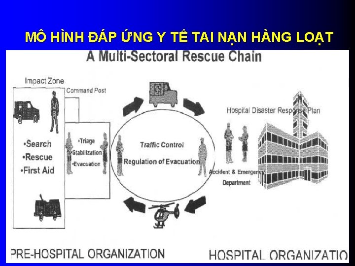 MÔ HÌNH ĐÁP ỨNG Y TẾ TAI NẠN HÀNG LOẠT 