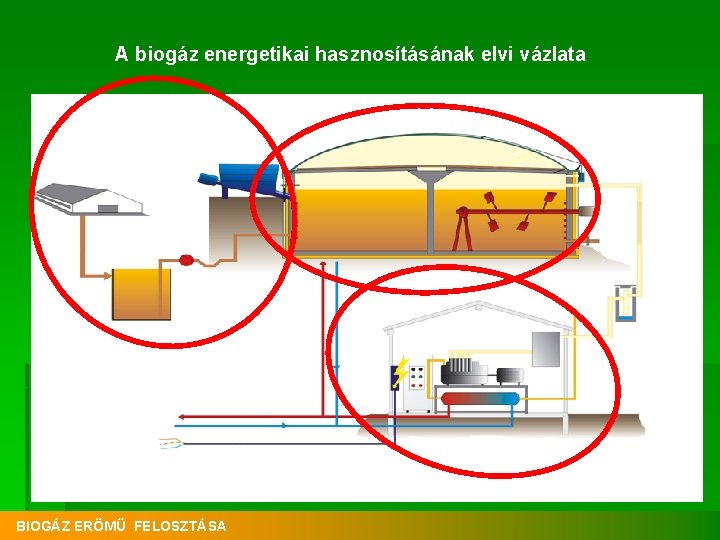 A biogáz energetikai hasznosításának elvi vázlata BIOGÁZ ERŐMŰ FELOSZTÁSA 