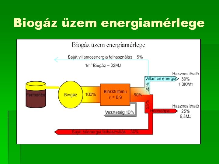 Biogáz üzem energiamérlege Salix viminalis – egyéves hajtások négyéves tövön. 