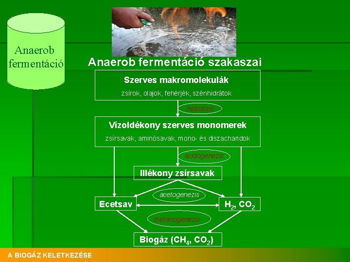 Anaerob fermentáció szakaszai Szerves makromolekulák zsírok, olajok, fehérjék, szénhidrátok hidrolízis Vízoldékony szerves monomerek zsírsavak,