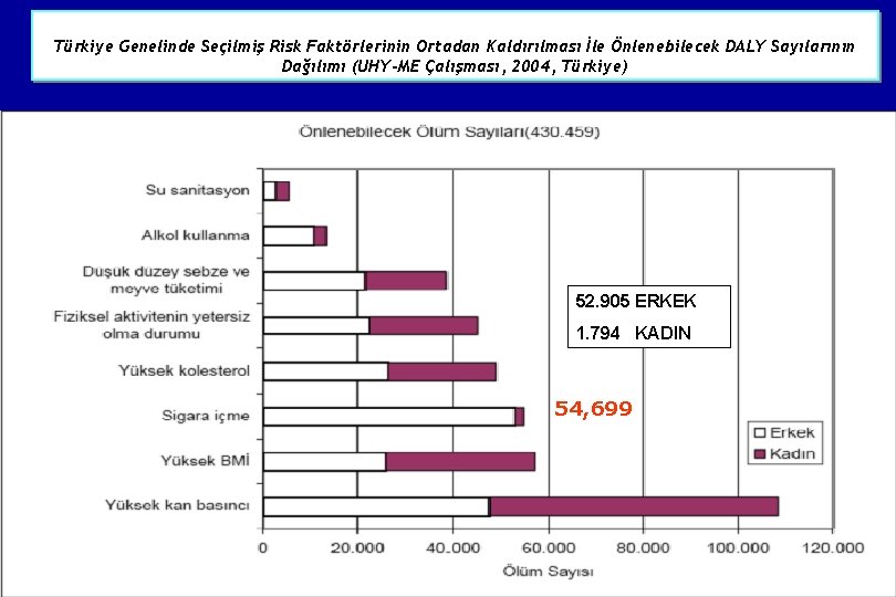 Türkiye Genelinde Seçilmiş Risk Faktörlerinin Ortadan Kaldırılması İle Önlenebilecek DALY Sayılarının Dağılımı (UHY-ME Çalışması,