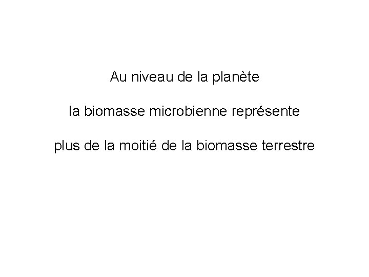 Au niveau de la planète la biomasse microbienne représente plus de la moitié de