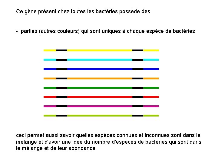 Ce gène présent chez toutes les bactéries possède des - parties (autres couleurs) qui