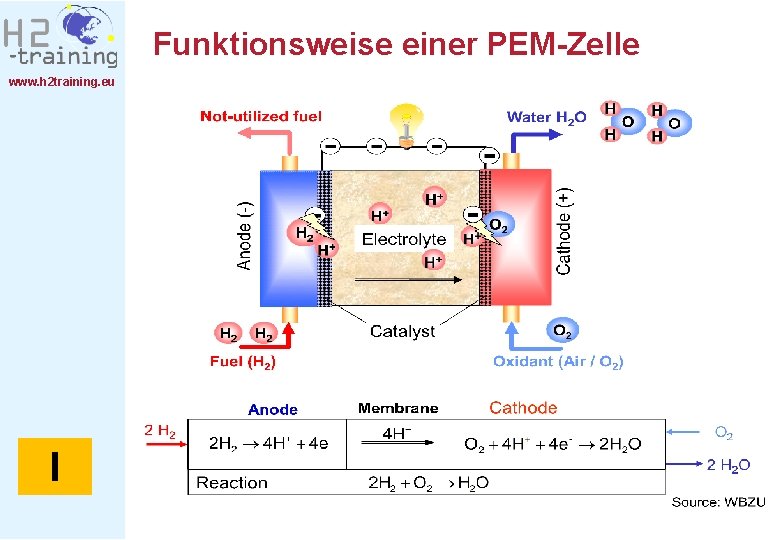 Funktionsweise einer PEM-Zelle www. h 2 training. eu I 