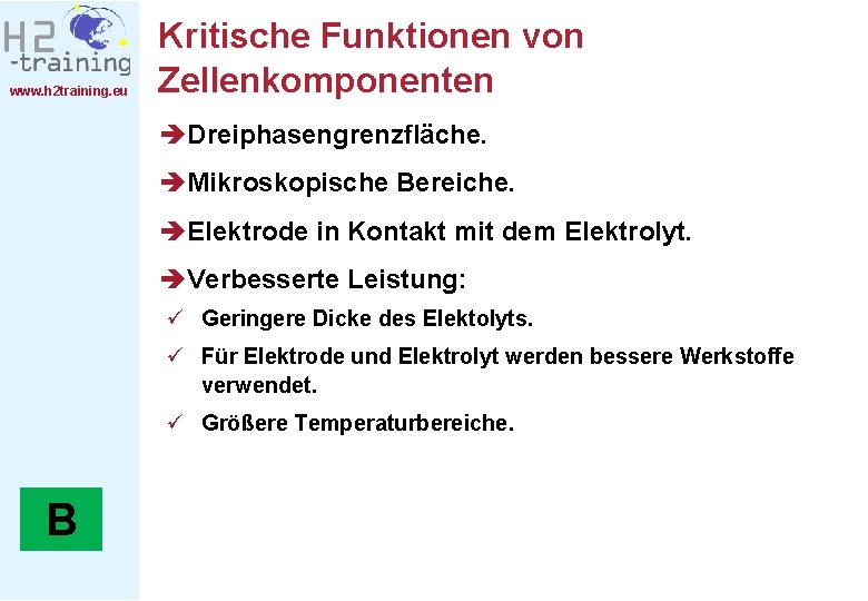 www. h 2 training. eu Kritische Funktionen von èKritische Funktionen von Zellenkomponenten èDreiphasengrenzfläche. èMikroskopische