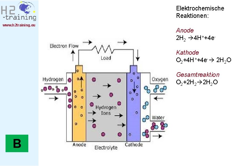 Elektrochemische Reaktionen: www. h 2 training. eu Anode 2 H 2 4 H++4 e.