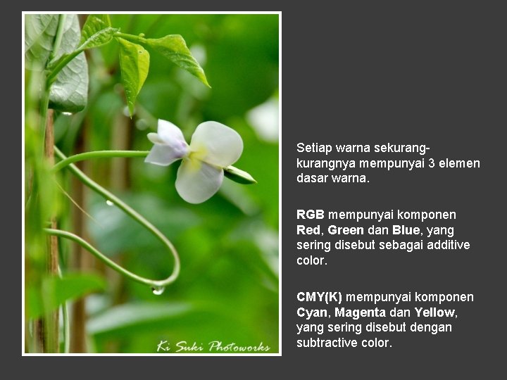 Setiap warna sekurangnya mempunyai 3 elemen dasar warna. RGB mempunyai komponen Red, Green dan