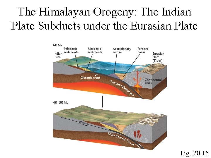 The Himalayan Orogeny: The Indian Plate Subducts under the Eurasian Plate Fig. 20. 15