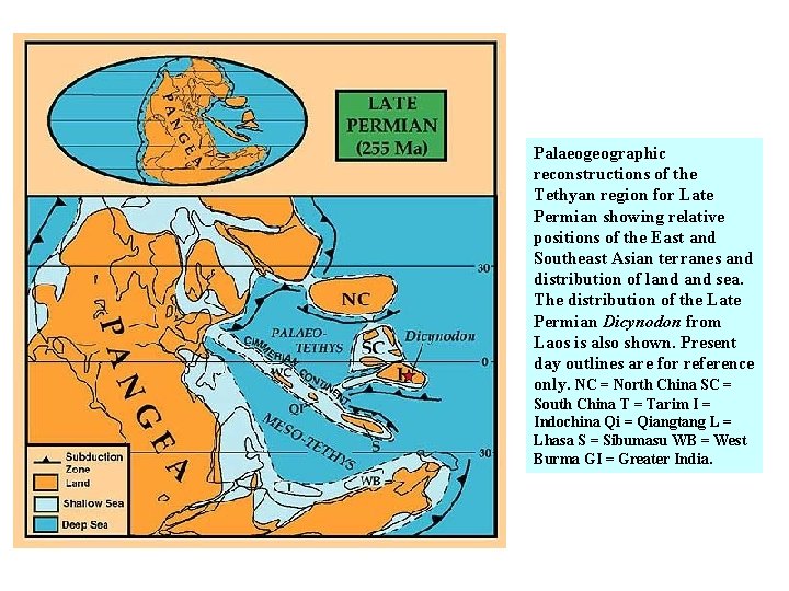 Palaeogeographic reconstructions of the Tethyan region for Late Permian showing relative positions of the