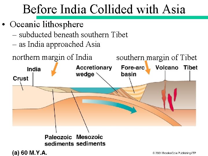 Before India Collided with Asia • Oceanic lithosphere – subducted beneath southern Tibet –
