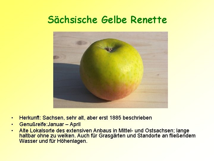 Sächsische Gelbe Renette • • • Herkunft: Sachsen, sehr alt, aber erst 1885 beschrieben