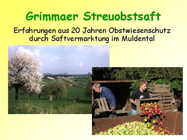 Grimmaer Streuobstsaft Erfahrungen aus 20 Jahren Obstwiesenschutz durch Saftvermarktung im Muldental 