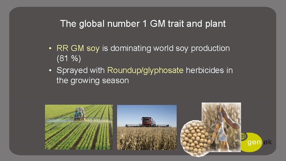 The global number 1 GM trait and plant • RR GM soy is dominating