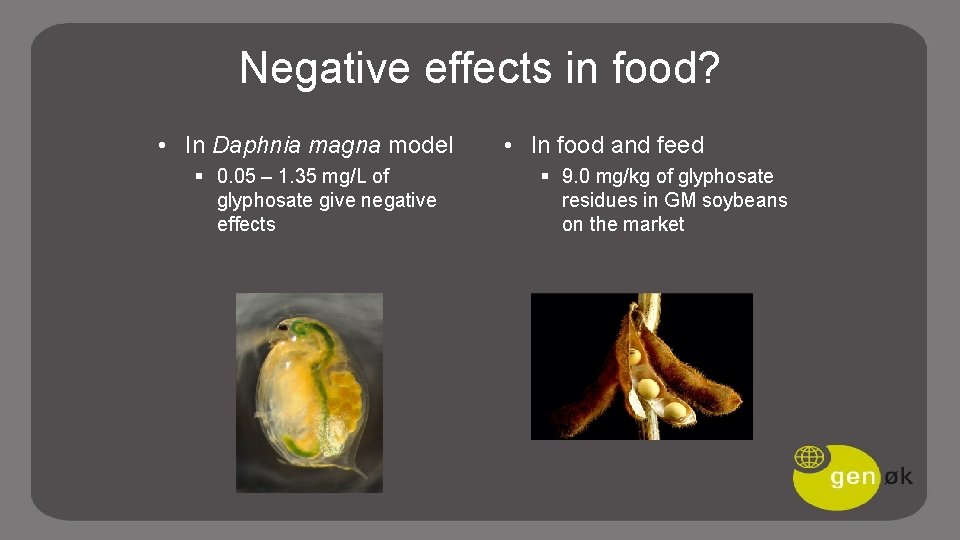 Negative effects in food? • In Daphnia magna model § 0. 05 – 1.