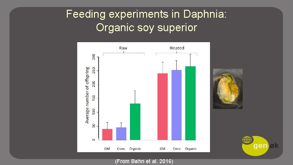 Feeding experiments in Daphnia: Organic soy superior (From Bøhn et al. 2016) 