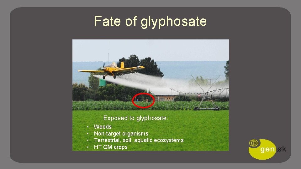 Fate of glyphosate Exposed to glyphosate: • • Weeds Non-target organisms Terrestrial, soil, aquatic