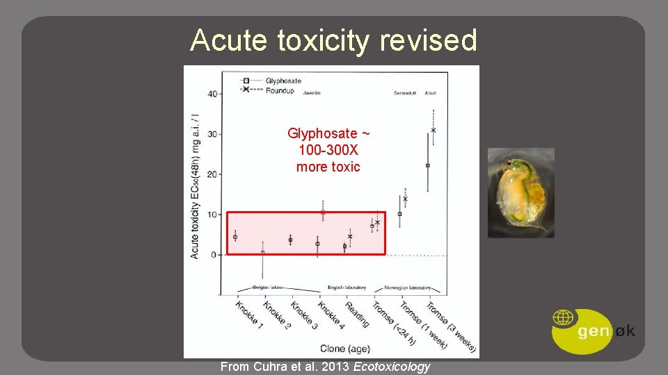 Acute toxicity revised Glyphosate ~ 100 -300 X more toxic From Cuhra et al.