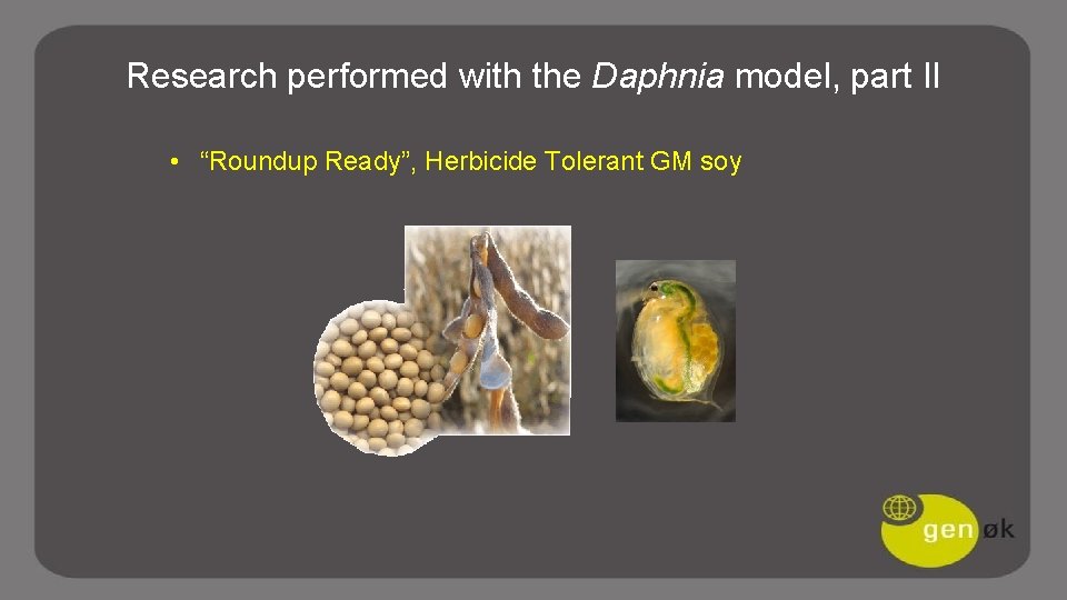 Research performed with the Daphnia model, part II • “Roundup Ready”, Herbicide Tolerant GM