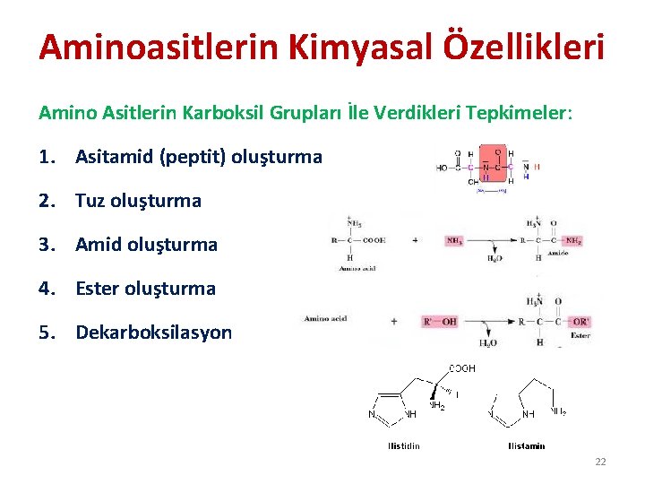 Aminoasitlerin Kimyasal Özellikleri Amino Asitlerin Karboksil Grupları İle Verdikleri Tepkimeler: 1. Asitamid (peptit) oluşturma