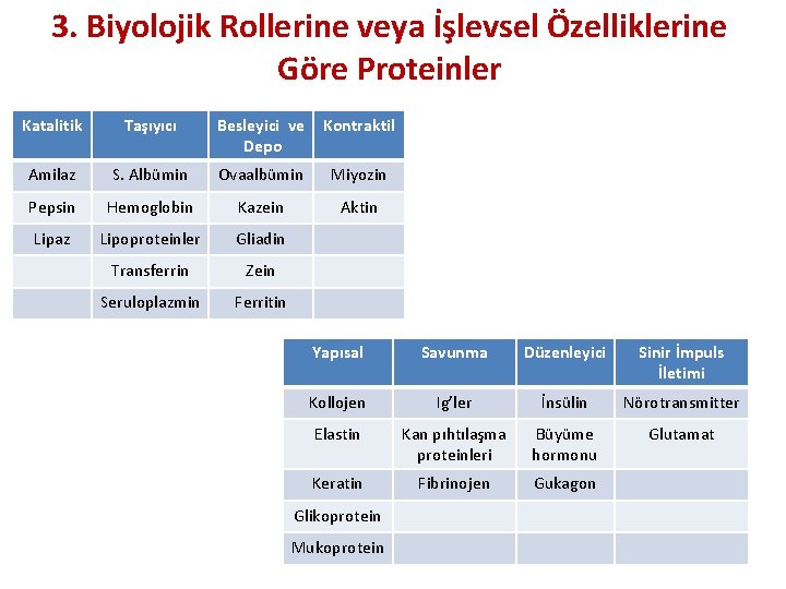 3. Biyolojik Rollerine veya İşlevsel Özelliklerine Göre Proteinler Katalitik Taşıyıcı Besleyici ve Depo Kontraktil