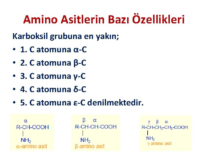 Amino Asitlerin Bazı Özellikleri Karboksil grubuna en yakın; • 1. C atomuna α-C •