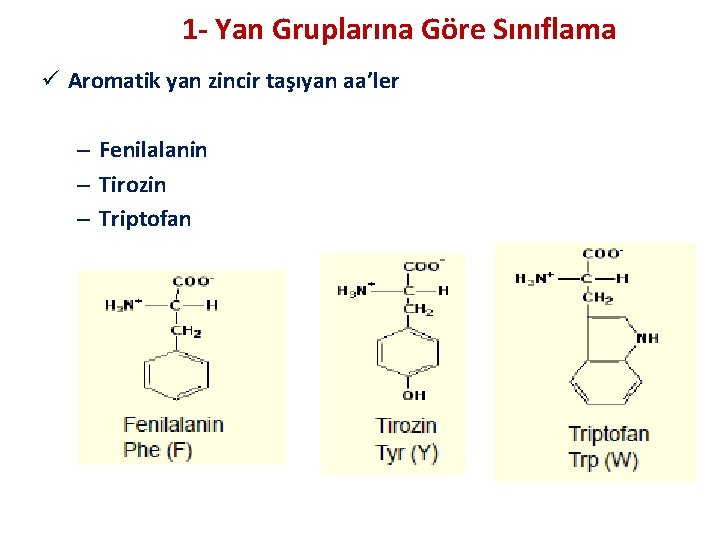1 - Yan Gruplarına Göre Sınıflama ü Aromatik yan zincir taşıyan aa’ler – Fenilalanin