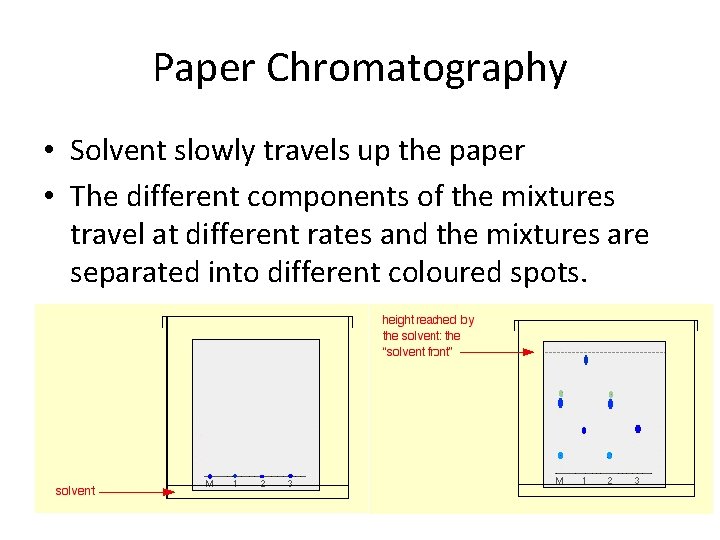 Paper Chromatography • Solvent slowly travels up the paper • The different components of