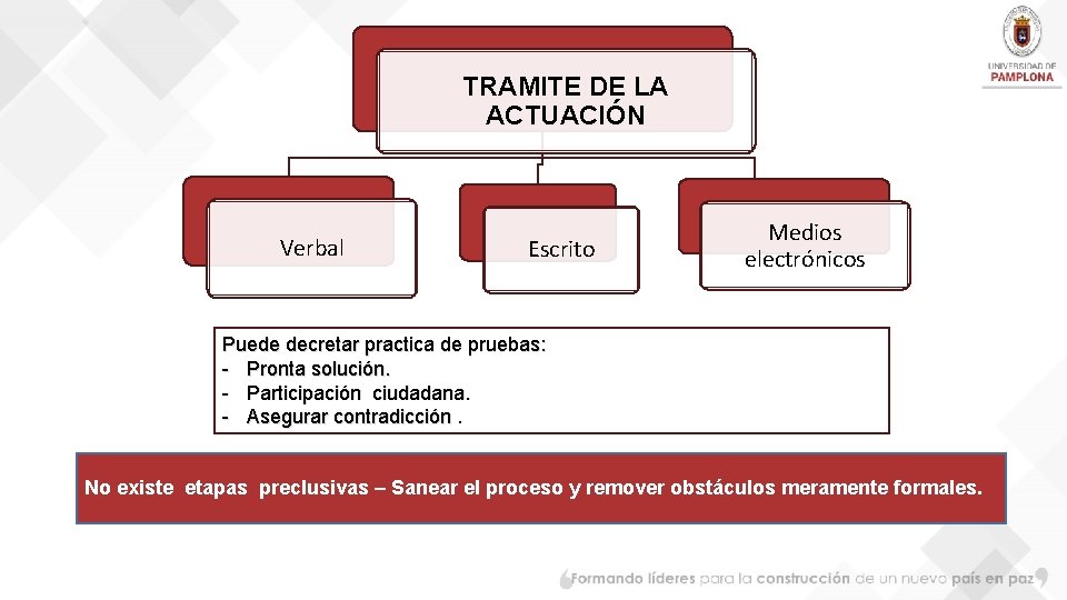 TRAMITE DE LA ACTUACIÓN Verbal Escrito Medios electrónicos Puede decretar practica de pruebas: -