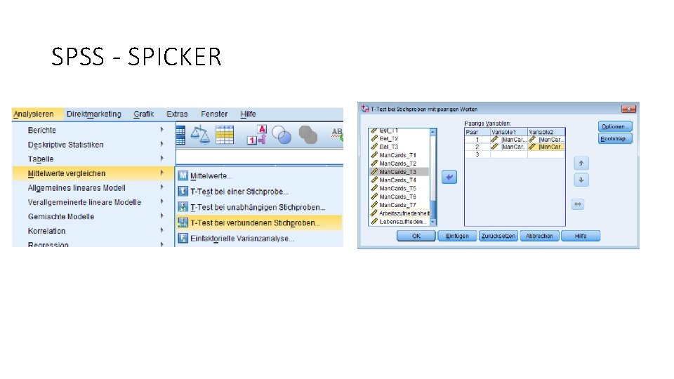 SPSS - SPICKER 