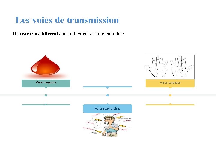  Les voies de transmission Il existe trois différents lieux d'entrées d’une maladie :