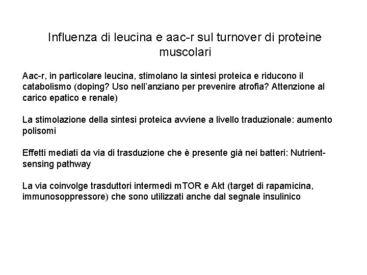 Influenza di leucina e aac-r sul turnover di proteine muscolari Aac-r, in particolare leucina,