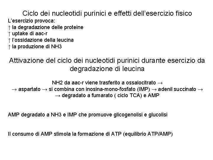 Ciclo dei nucleotidi purinici e effetti dell’esercizio fisico L’esercizio provoca: ↑ la degradazione delle