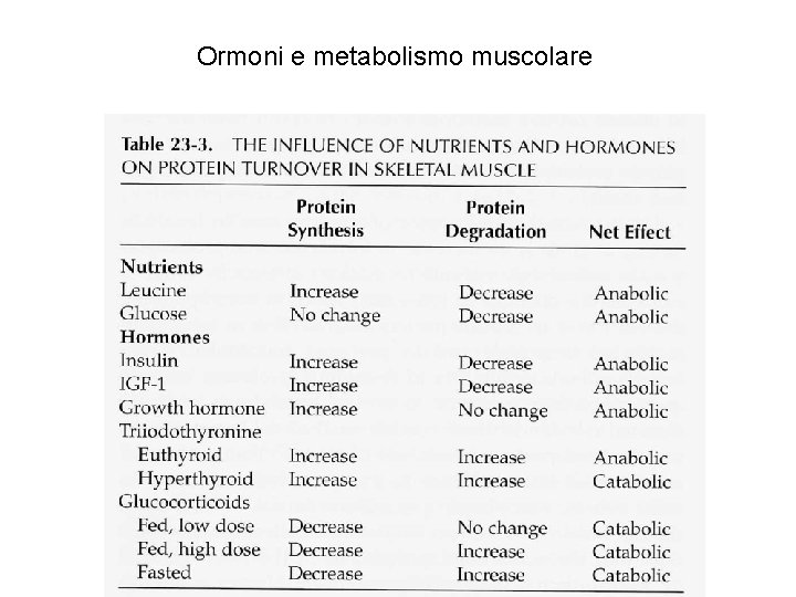 Ormoni e metabolismo muscolare 
