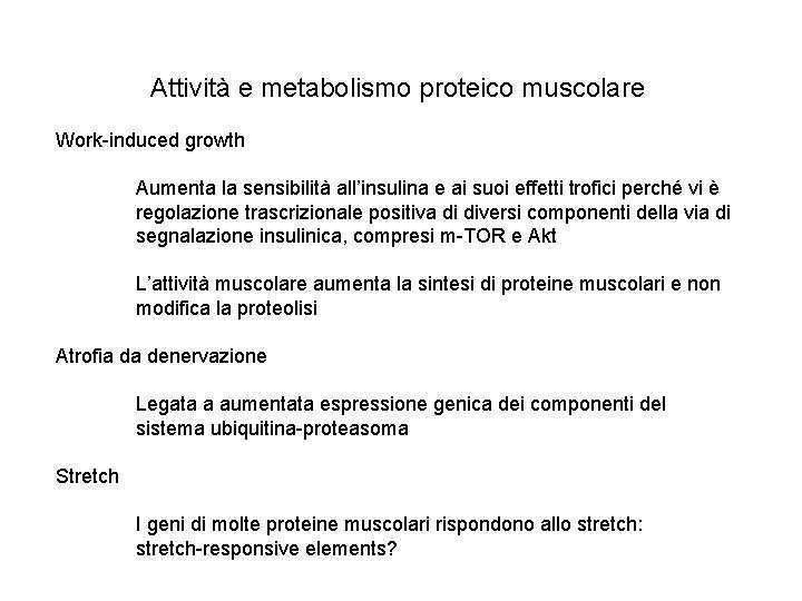 Attività e metabolismo proteico muscolare Work-induced growth Aumenta la sensibilità all’insulina e ai suoi