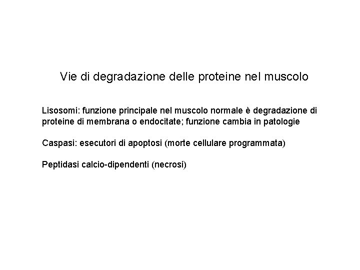 Vie di degradazione delle proteine nel muscolo Lisosomi: funzione principale nel muscolo normale è