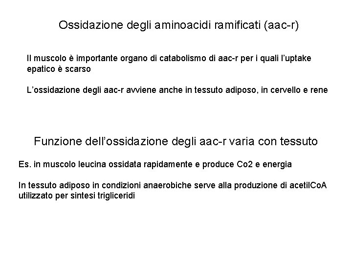 Ossidazione degli aminoacidi ramificati (aac-r) Il muscolo è importante organo di catabolismo di aac-r