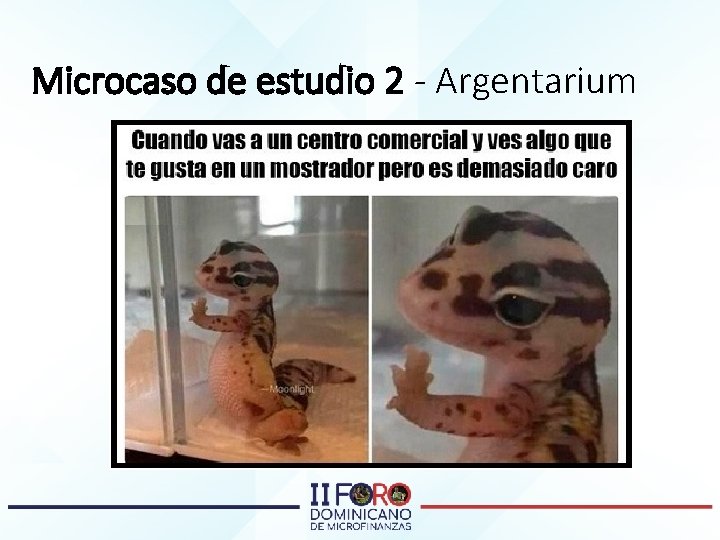Microcaso de estudio 2 - Argentarium 