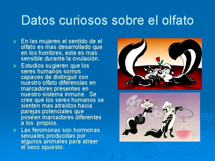 Datos curiosos sobre el olfato En las mujeres el sentido de el olfato es