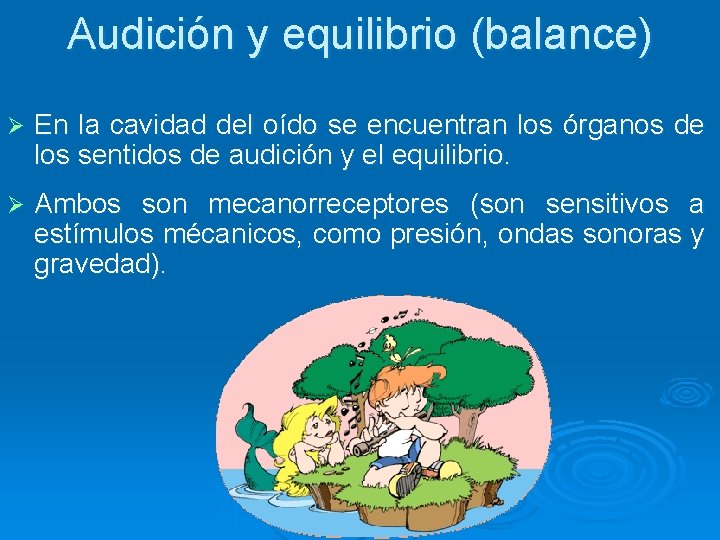 Audición y equilibrio (balance) Ø En la cavidad del oído se encuentran los órganos