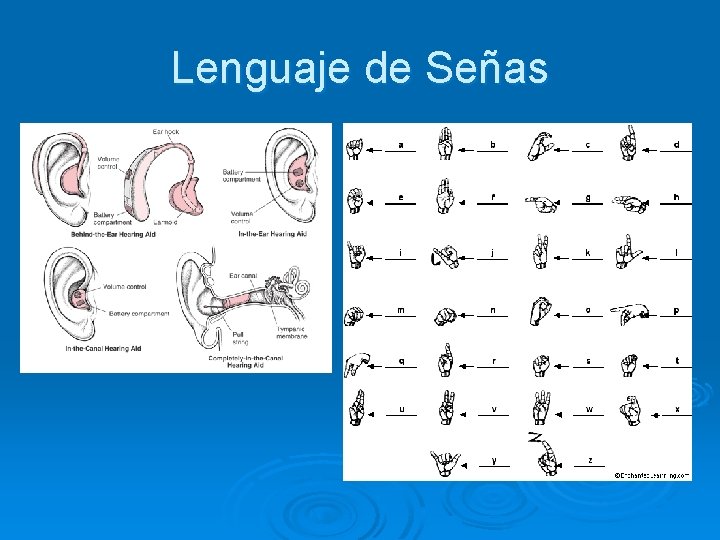 Lenguaje de Señas 