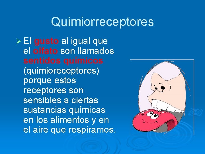 Quimiorreceptores Ø El gusto al igual que el olfato son llamados sentidos químicos (quimioreceptores)