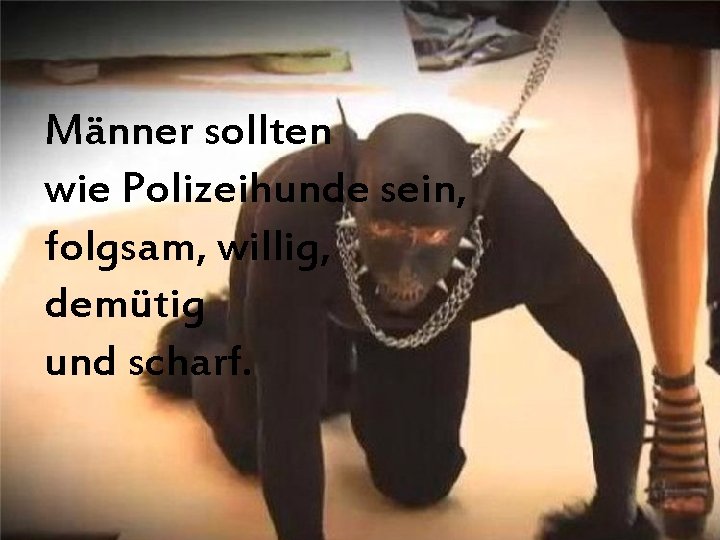 Männer sollten wie Polizeihunde sein, folgsam, willig, demütig und scharf. 