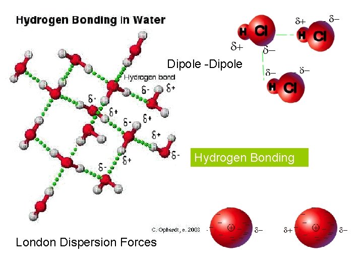 Dipole -Dipole Hydrogen Bonding London Dispersion Forces 