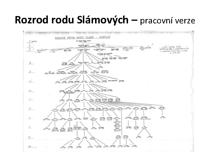 Rozrod rodu Slámových – pracovní verze 